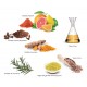 Necon Linseaoil n.03 Benessere Pelo e Cute 250 ml