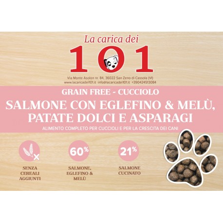 GrainFree-101 Dog Puppy Salmone Eglefino Melù Patate Dolci Asparagi 12 kg