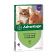 Elanco Advantage Gatti superiori a 4 kg