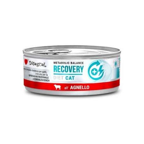 Disugual Cat Recovery Agnello 85 g