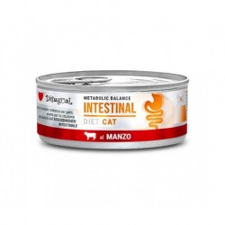 Disugual Cat Intestinal Manzo 85 g