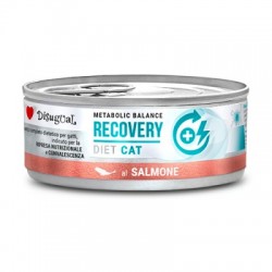 Disugual Cat Recovery Salmone 85 g