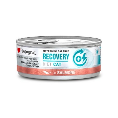 Disugual Cat Recovery Salmone 85 g
