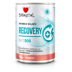 Disugual Dog Recovery Salmone 400 g