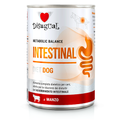 Disugual Dog Intestinal Manzo 400 g