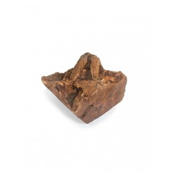 Nature Delì Wild Radice di Tubero Small 150-300 g