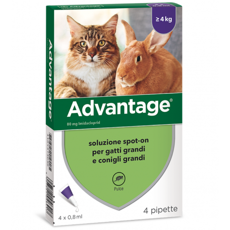 Elanco Advantage Gatti superiori a 4 kg
