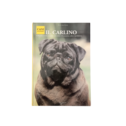Cani da Premio IL CARLINO